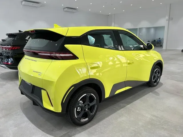 BYD Dolphin Mini - Imagem 9