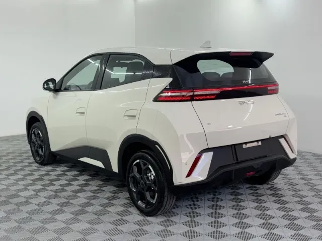 BYD Dolphin Mini - Imagem 8