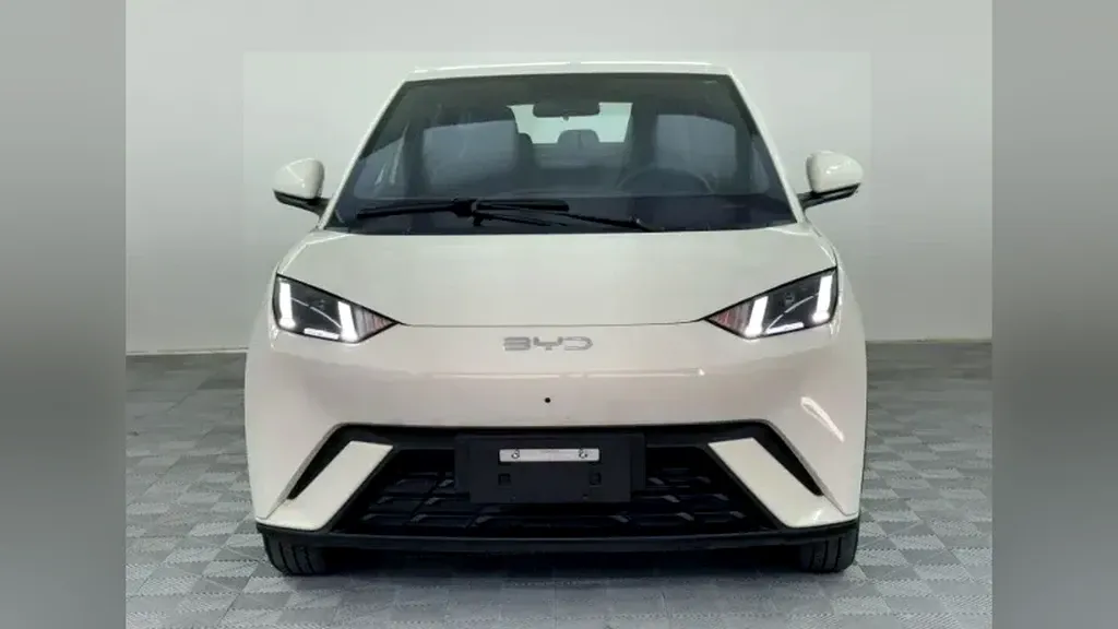 Foto de um byd dolphin mini