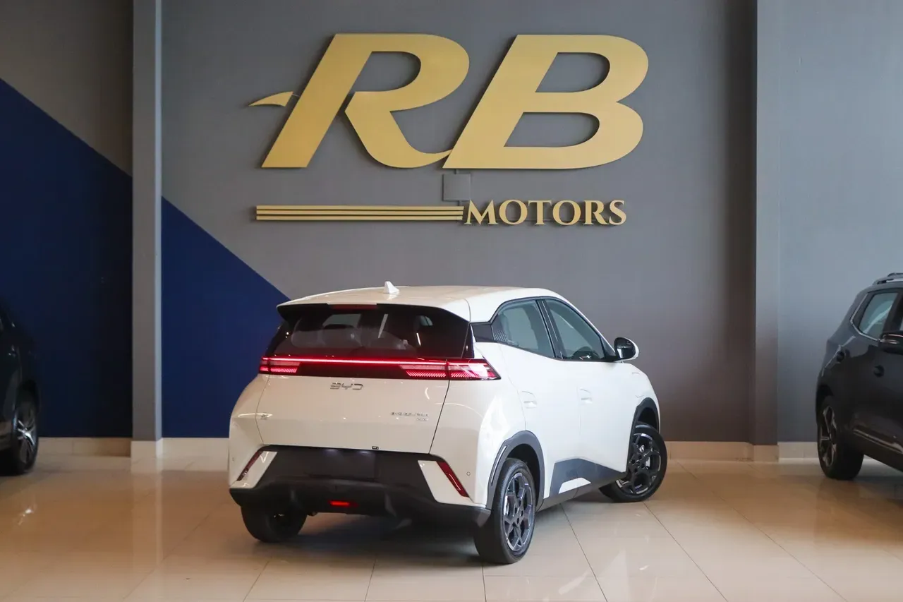 BYD Dolphin Mini - Imagem 2