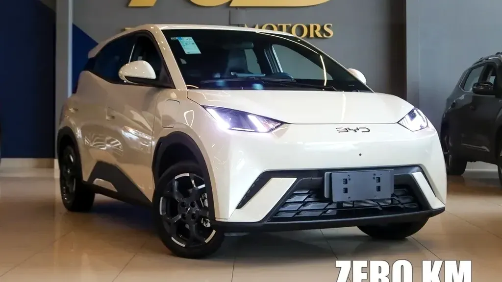 Foto de um byd dolphin mini