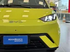 BYD Dolphin Mini - Miniatura 4
