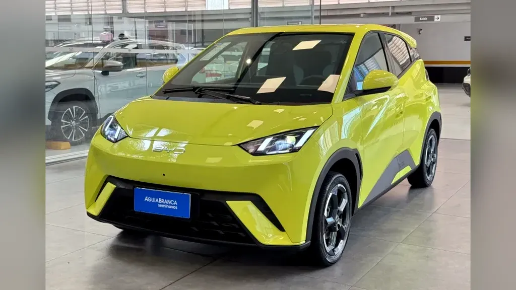 Foto de um byd dolphin mini