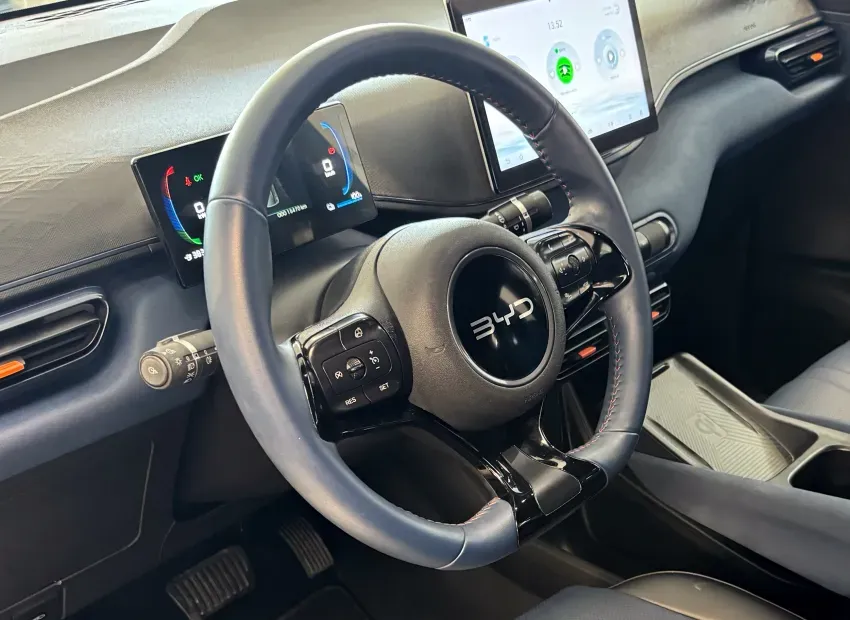 BYD Dolphin Mini - Imagem 19