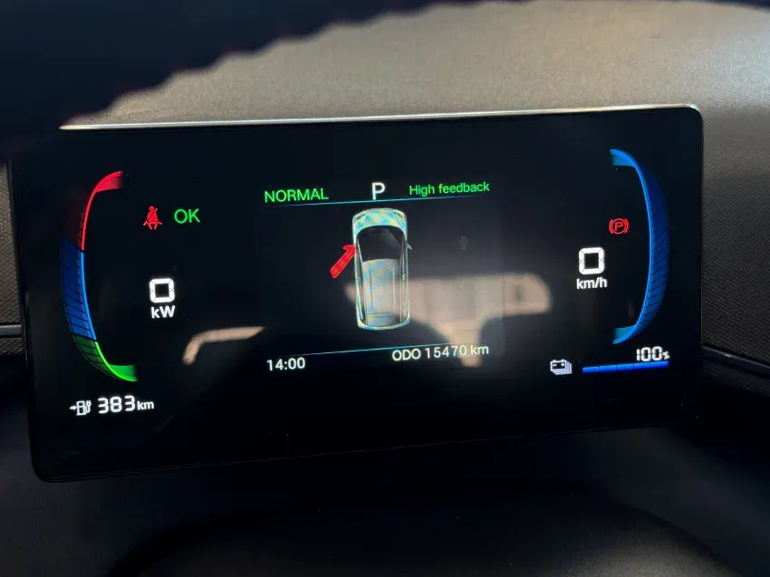 BYD Dolphin Mini - Imagem 15