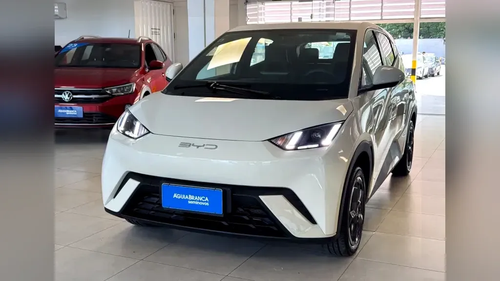 Foto de um byd dolphin mini