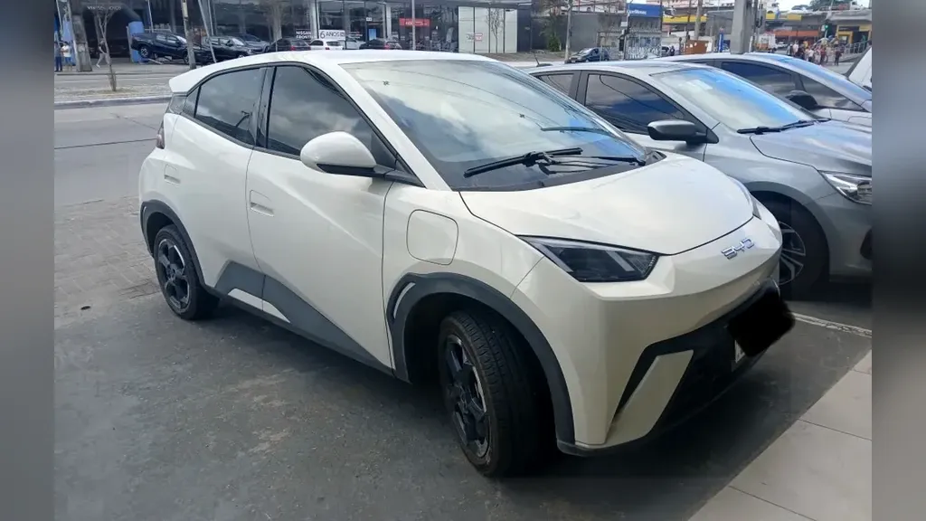 Foto de um byd dolphin mini