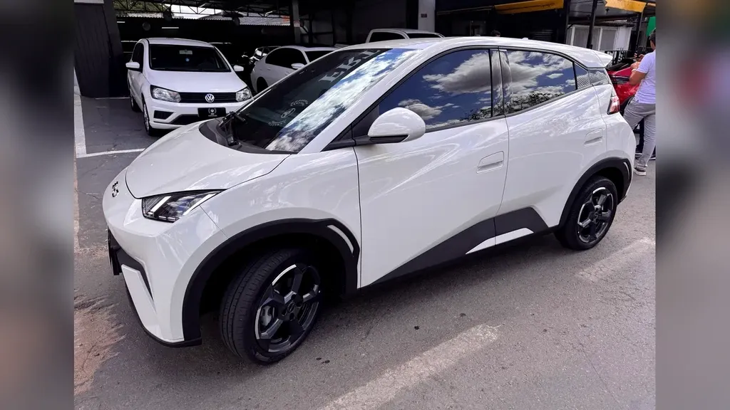 Foto de um byd dolphin