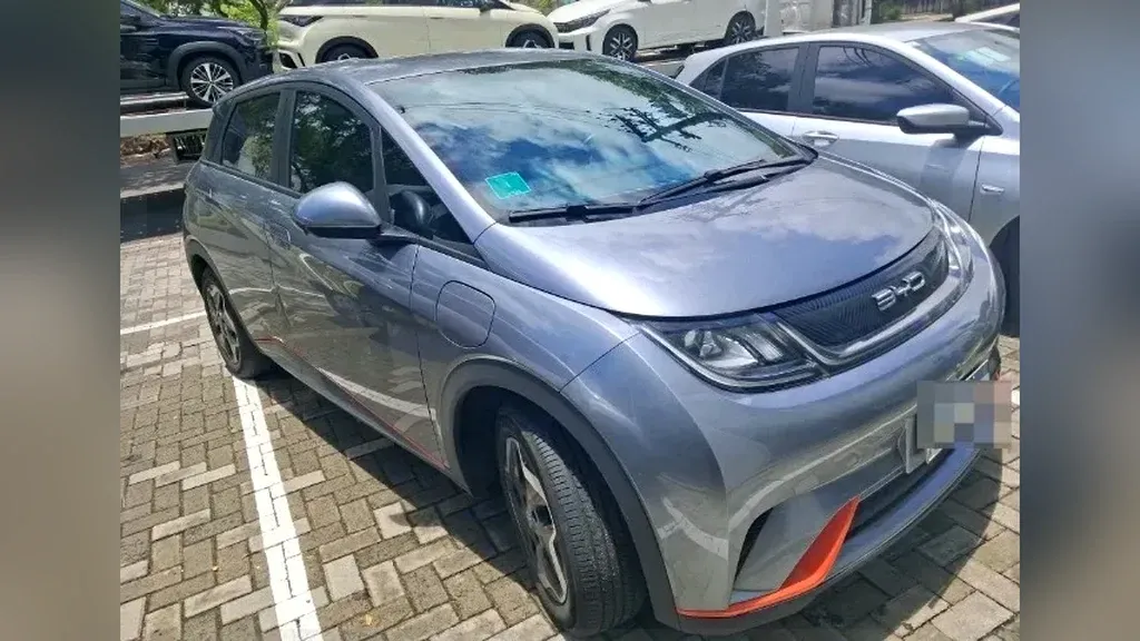 Foto de um byd dolphin