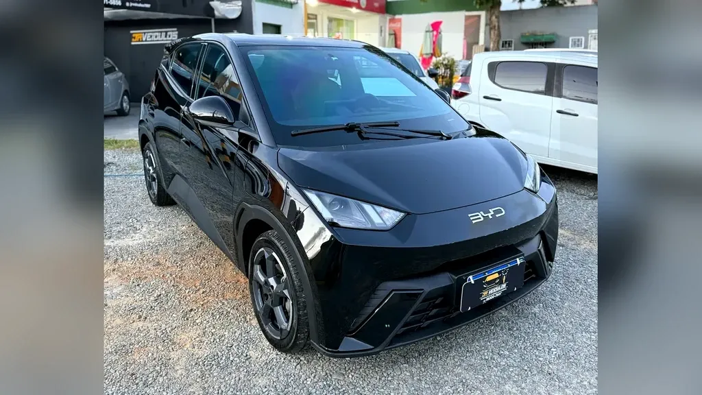 Foto de um byd dolphin mini