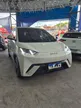 BYD Dolphin Mini - Miniatura 2