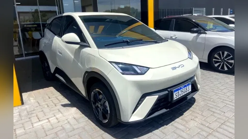 Foto de um byd dolphin mini