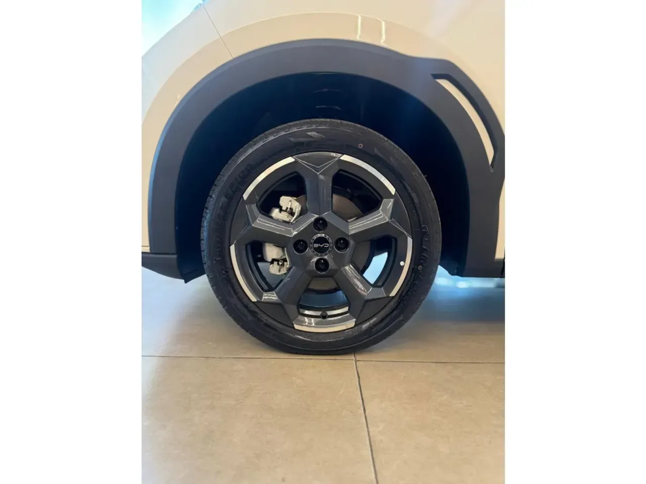 BYD Dolphin Mini - Imagem 15