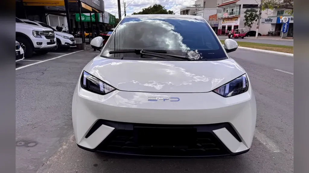 Foto de um byd dolphin mini