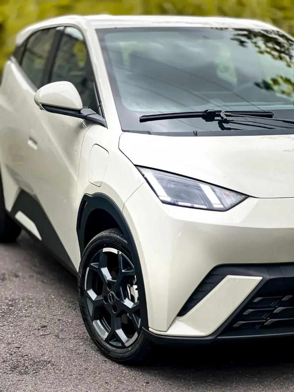 BYD Dolphin Mini - Imagem 2