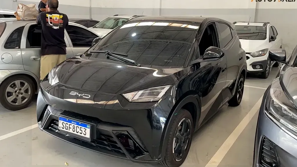 Foto de um byd dolphin