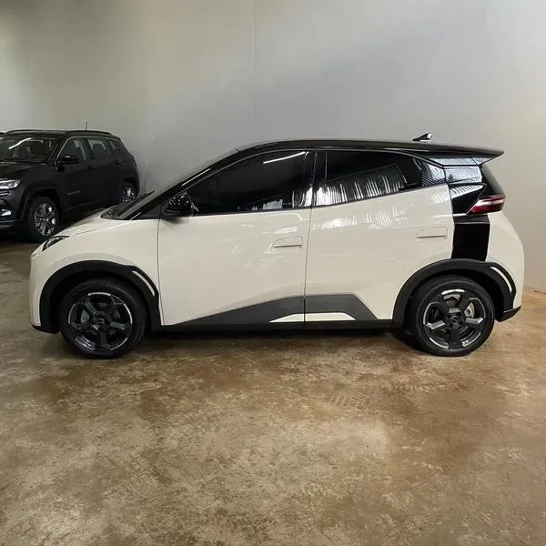 BYD Dolphin Mini - Imagem 5