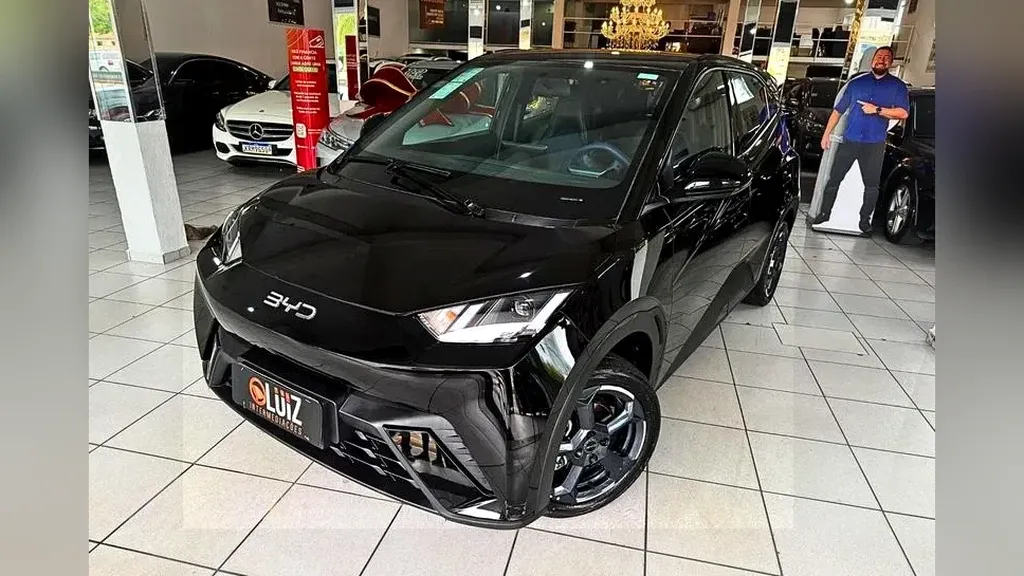 Foto de um byd dolphin mini