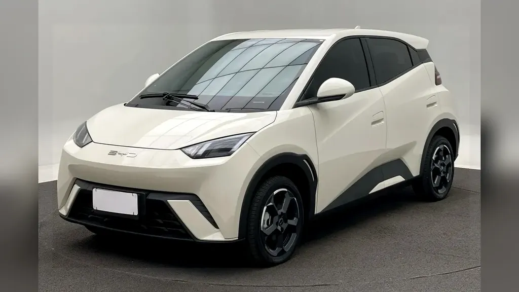 Foto de um byd dolphin