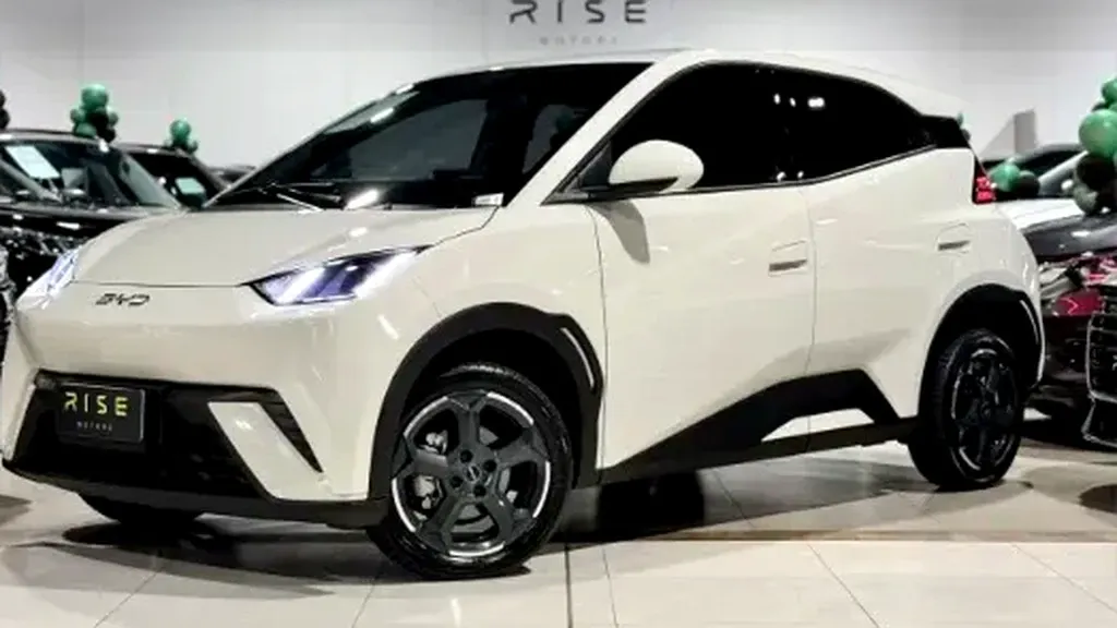 Foto de um byd dolphin mini