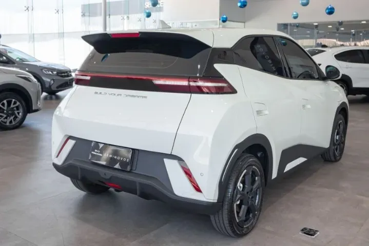 BYD Dolphin Mini - Imagem 18