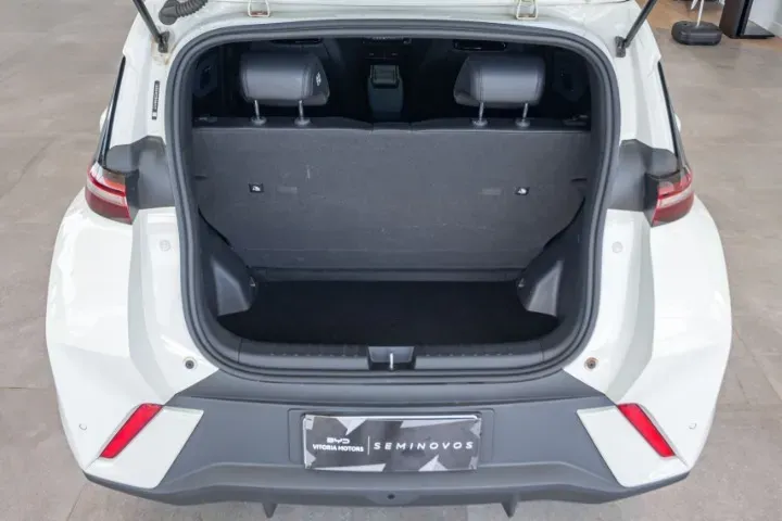 BYD Dolphin Mini - Imagem 20