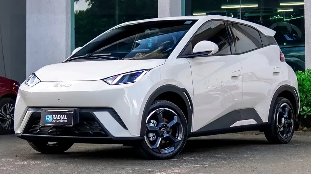 Foto de um byd dolphin mini