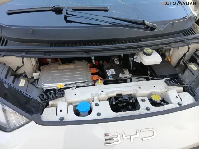 BYD Dolphin Mini - Imagem 5