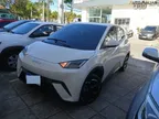 BYD Dolphin Mini - Miniatura 1
