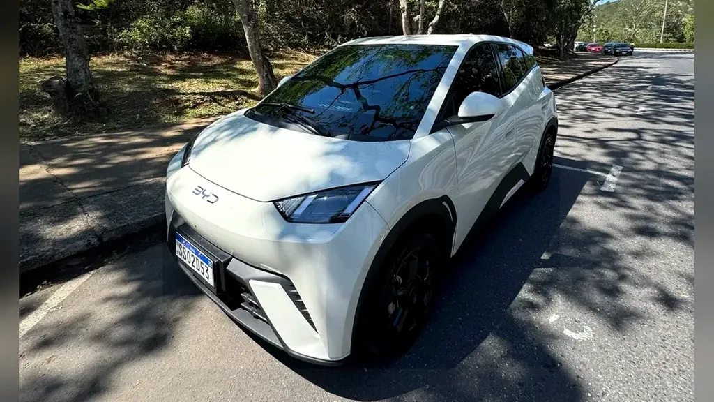 Foto de um byd dolphin mini