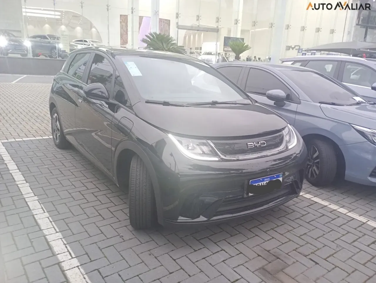 BYD Dolphin - Imagem 3