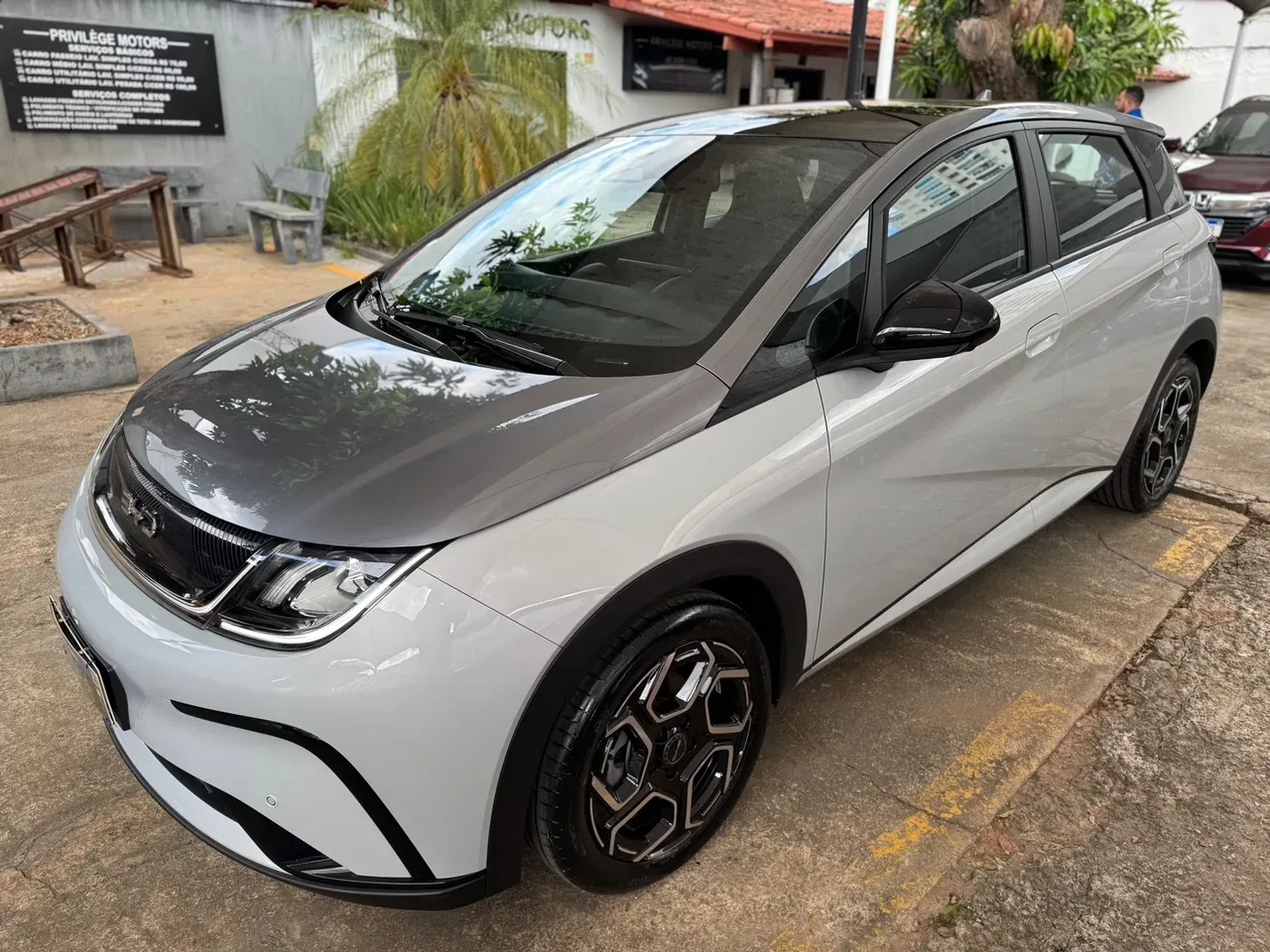 BYD Dolphin Plus - Imagem 3