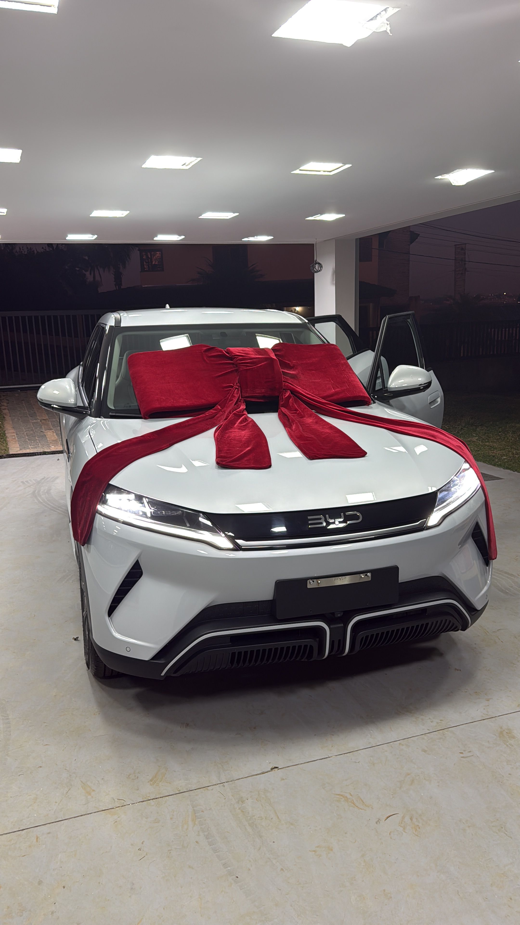 BYD Yuan Pro - Imagem 2