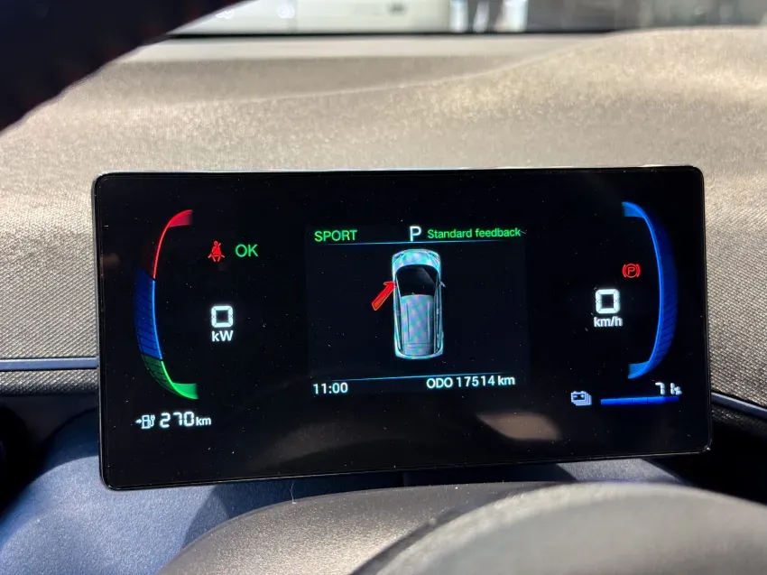 BYD Dolphin Mini - Imagem 13