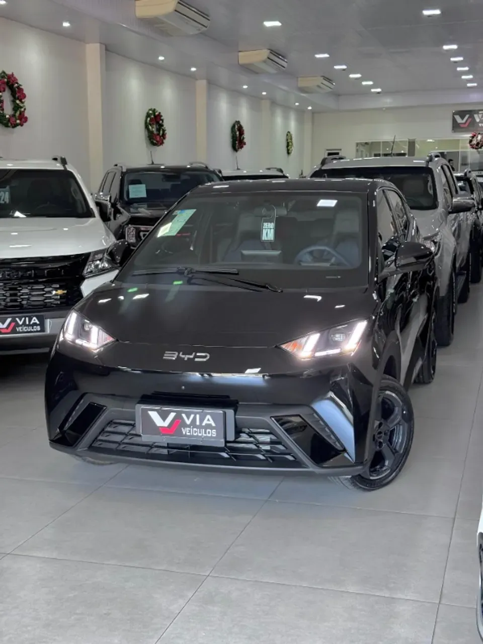 BYD Dolphin Mini - Imagem 3