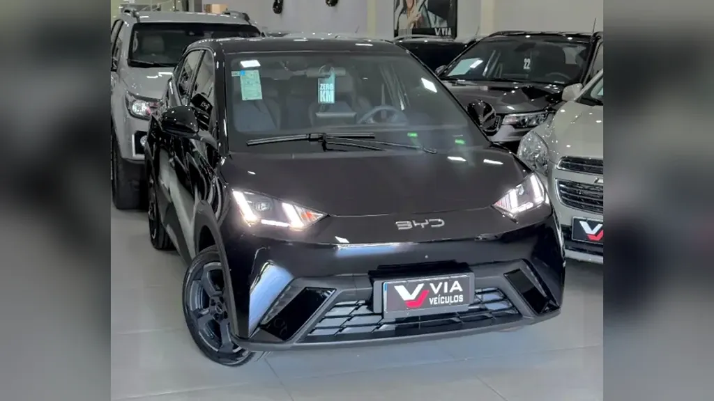 Foto de um byd dolphin mini