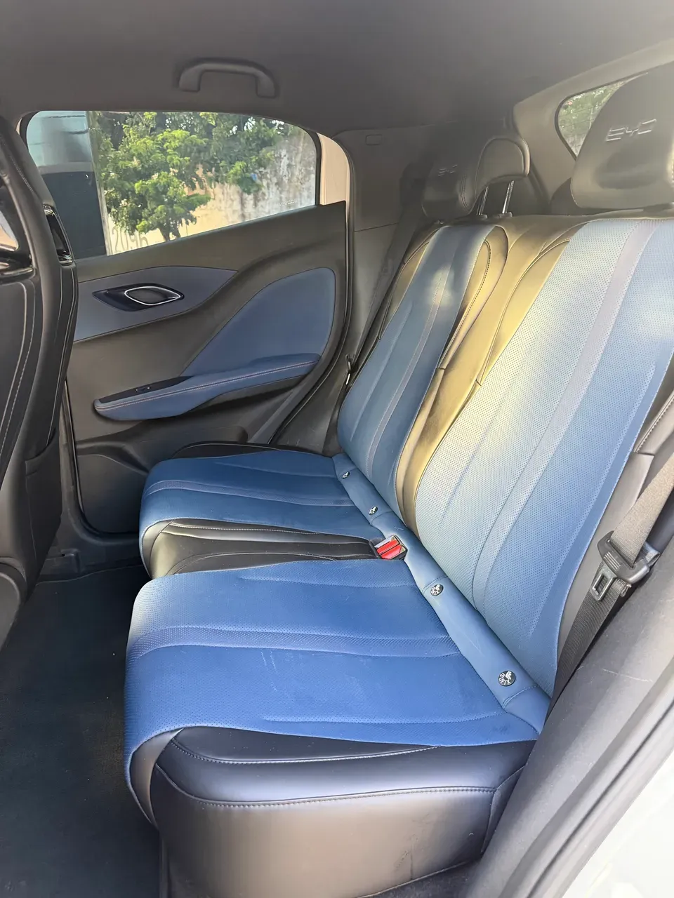 BYD Dolphin Mini - Imagem 7