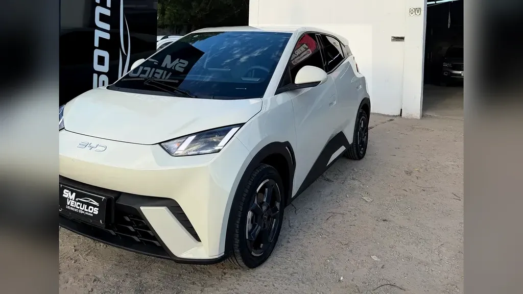 Foto de um byd dolphin mini