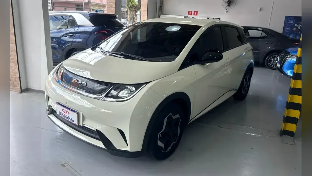 Foto de um byd dolphin