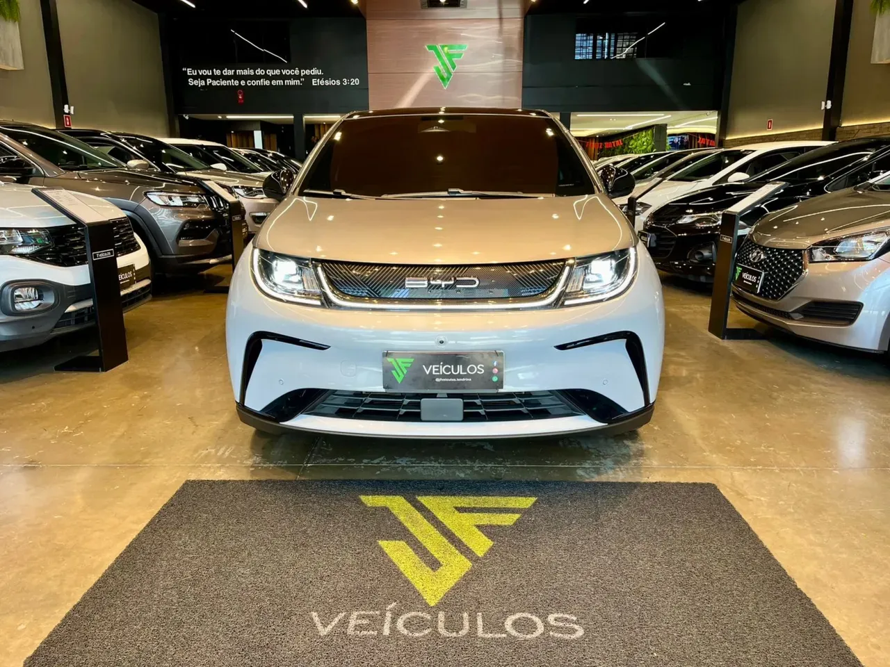 BYD Dolphin Plus - Imagem 2