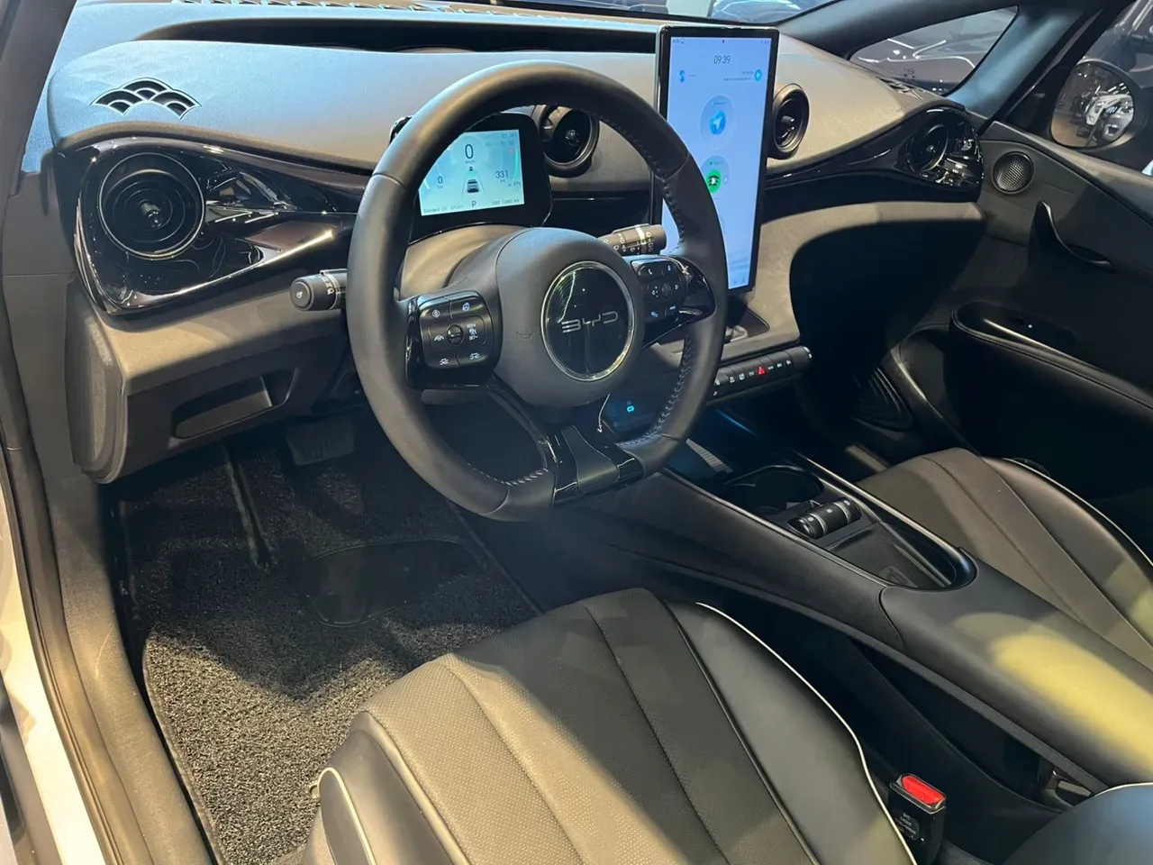 BYD Dolphin Plus - Imagem 11