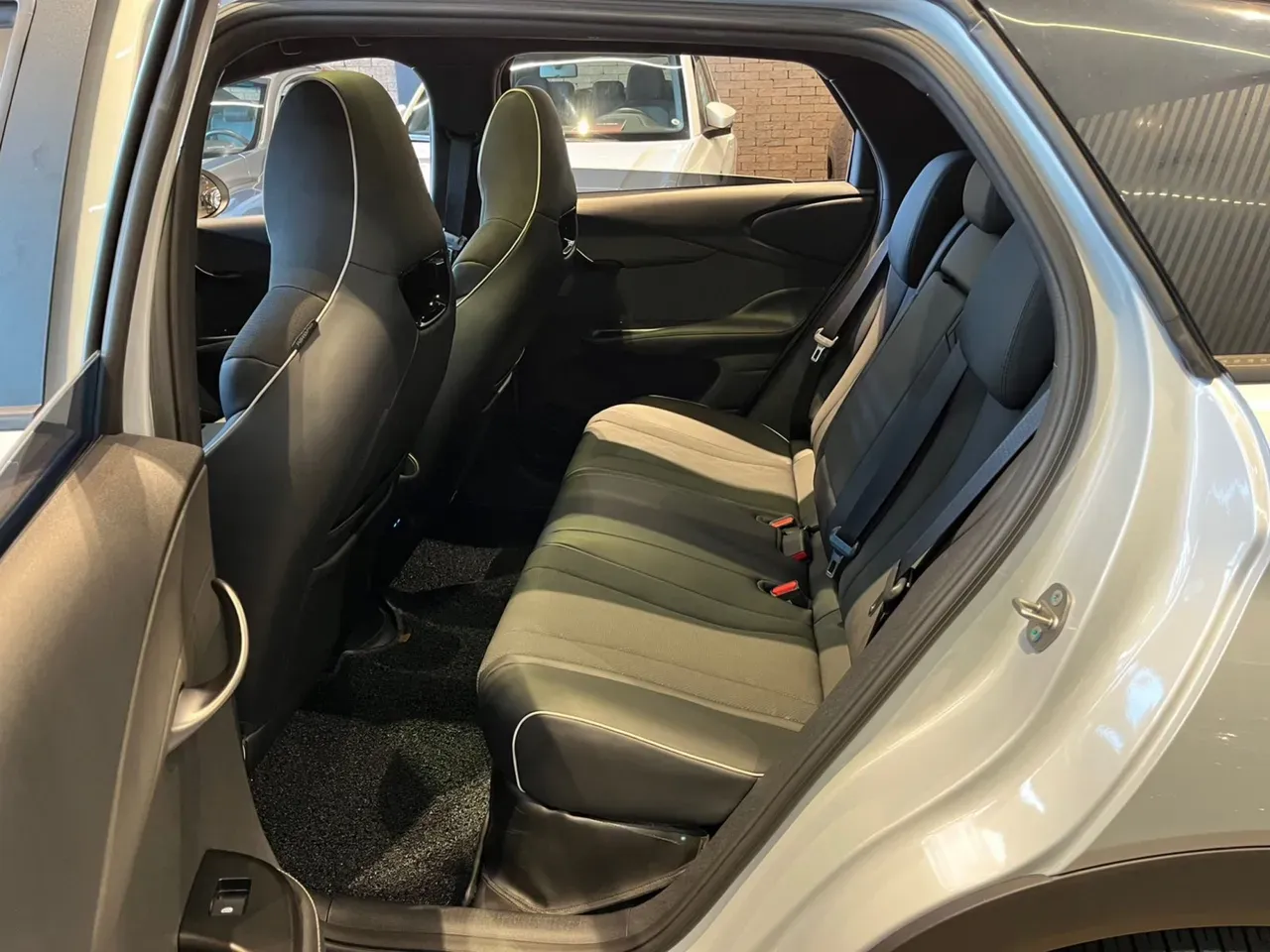 BYD Dolphin Plus - Imagem 17