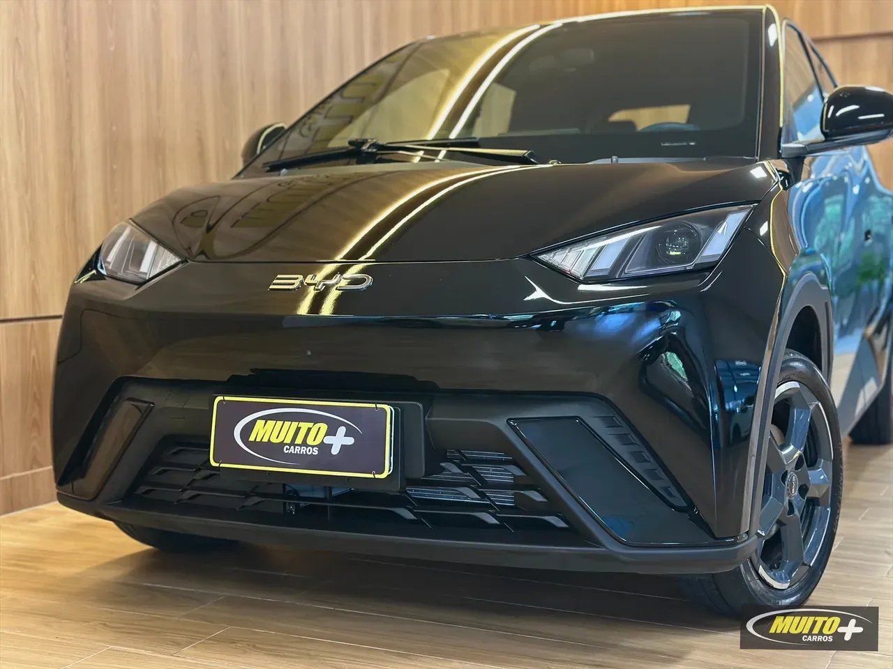 BYD Dolphin Mini - Imagem 15