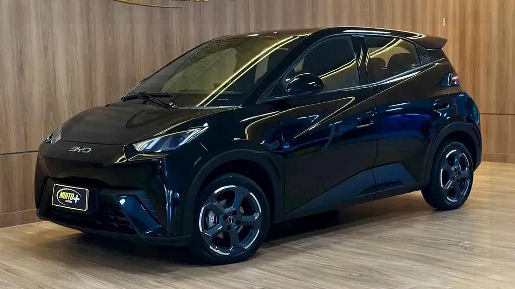 Foto de um byd dolphin mini