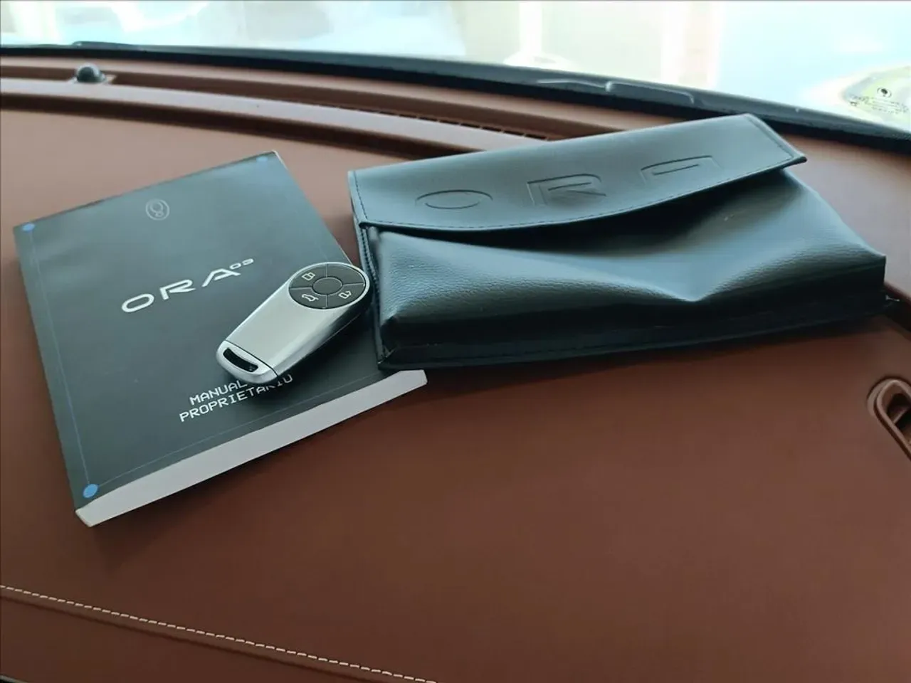 GWM Ora 03 - Imagem 20