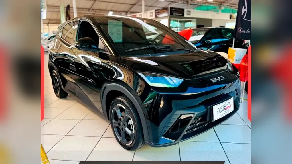 Foto de um byd dolphin mini