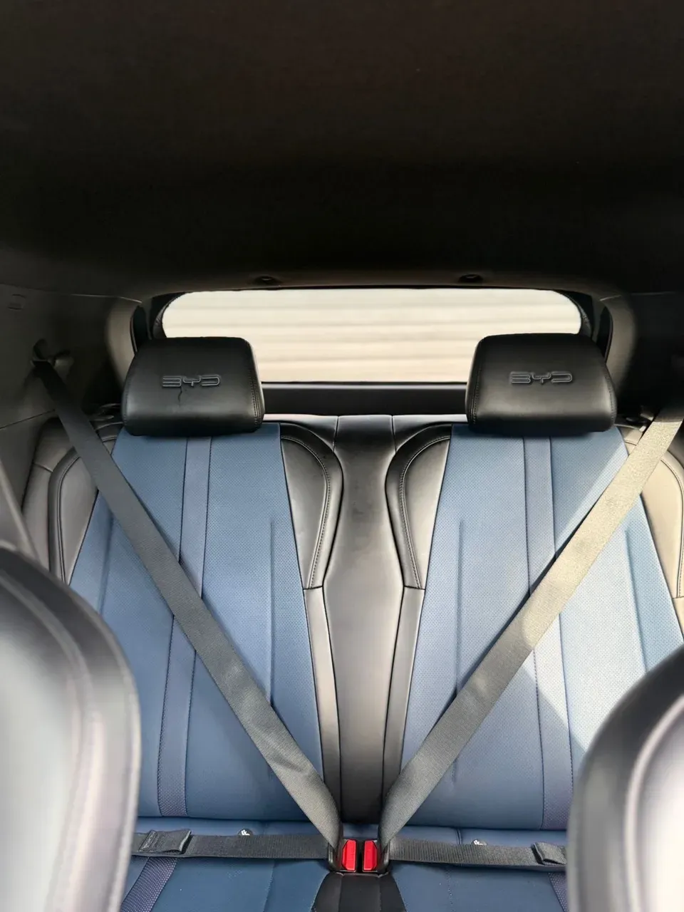 BYD Dolphin Mini - Imagem 2