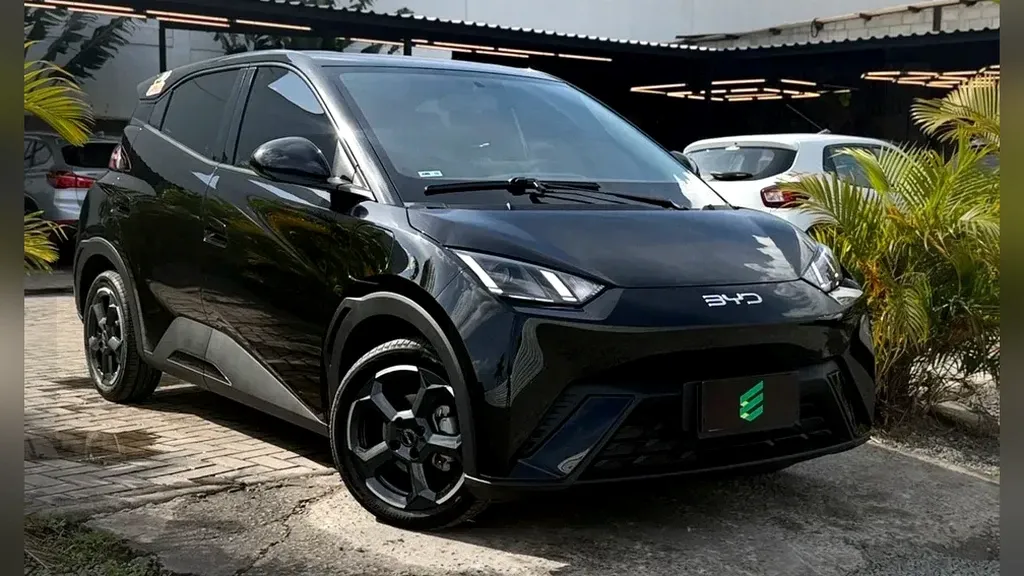 Foto de um byd dolphin mini