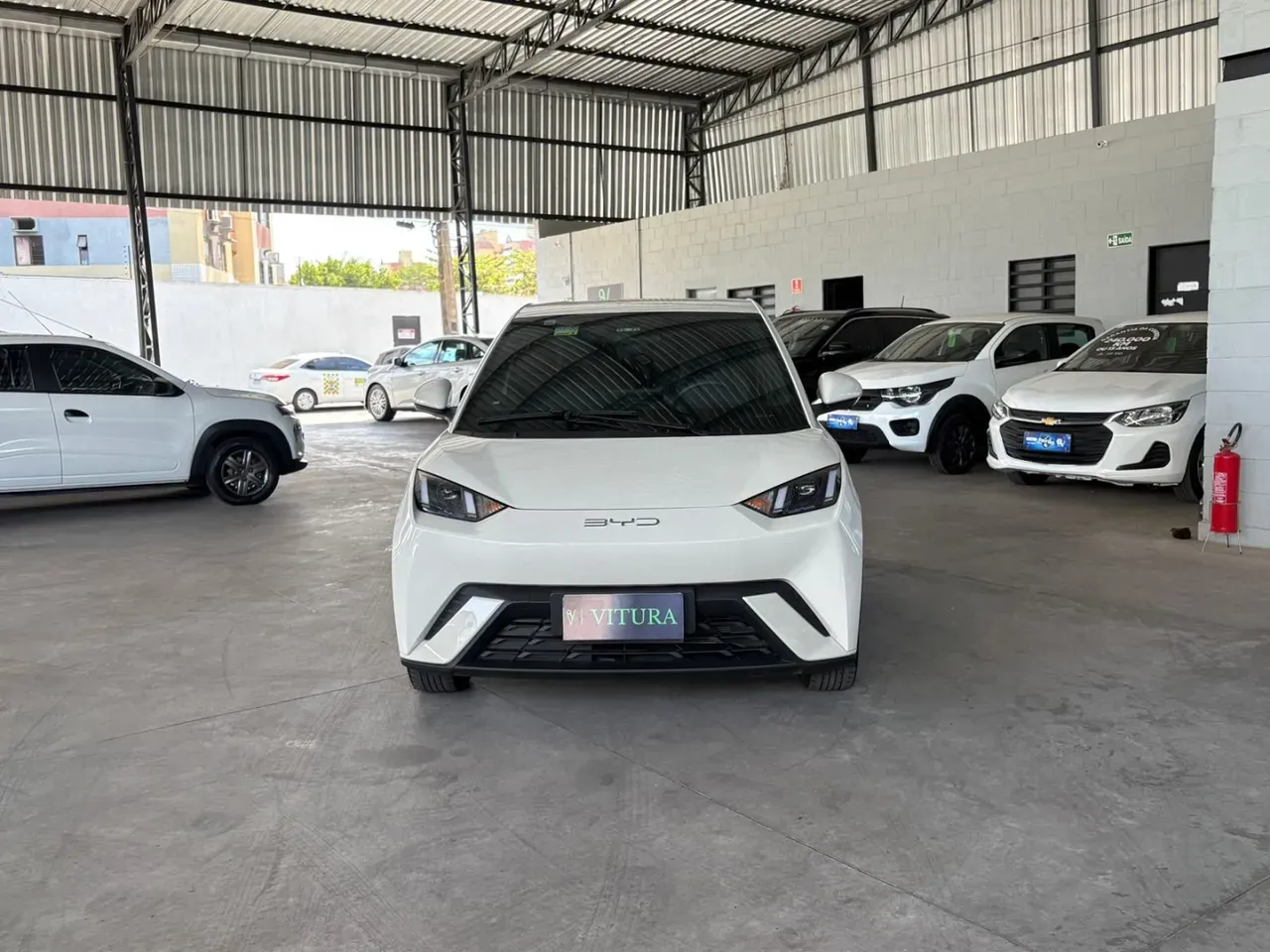 BYD Dolphin Mini - Imagem 2