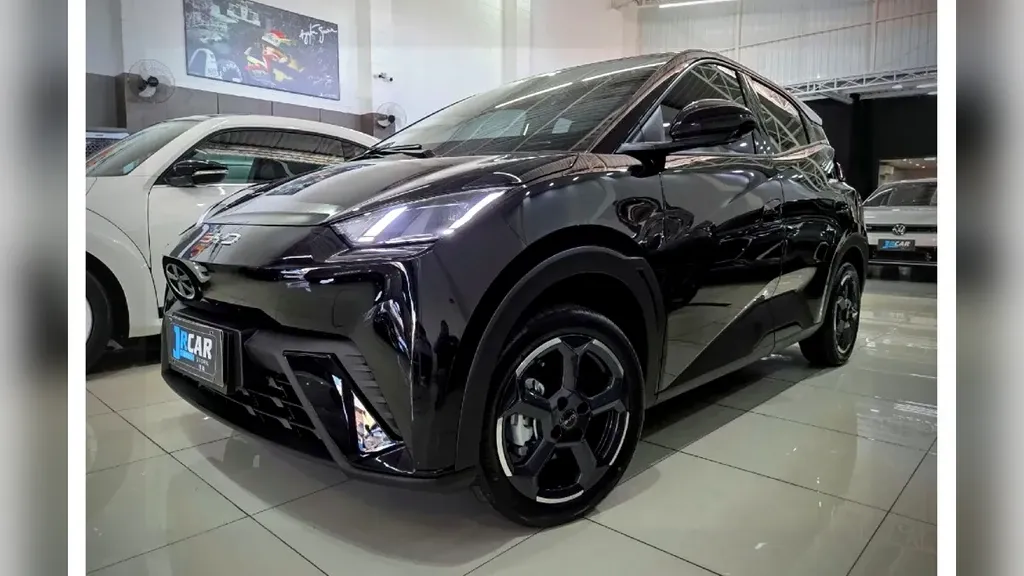 Foto de um byd dolphin